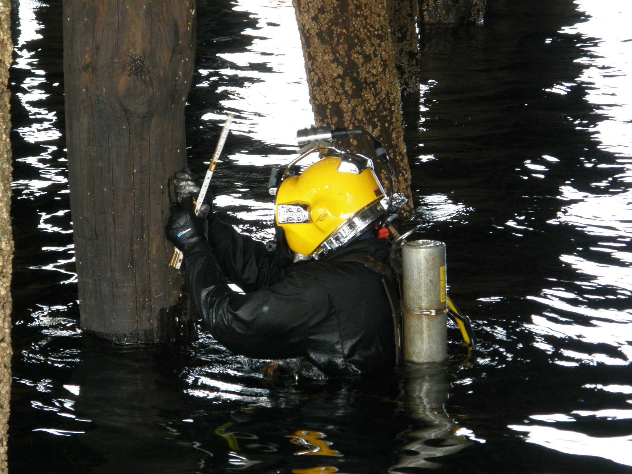 Diving Services Incorporated Underwater Bridge Inspection